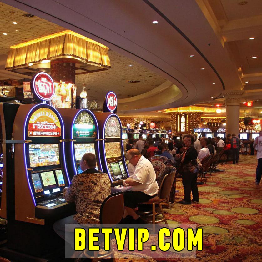  betvip